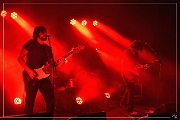 NIK_37273 PurPulse 11-02-2017 (p) (Zz)
